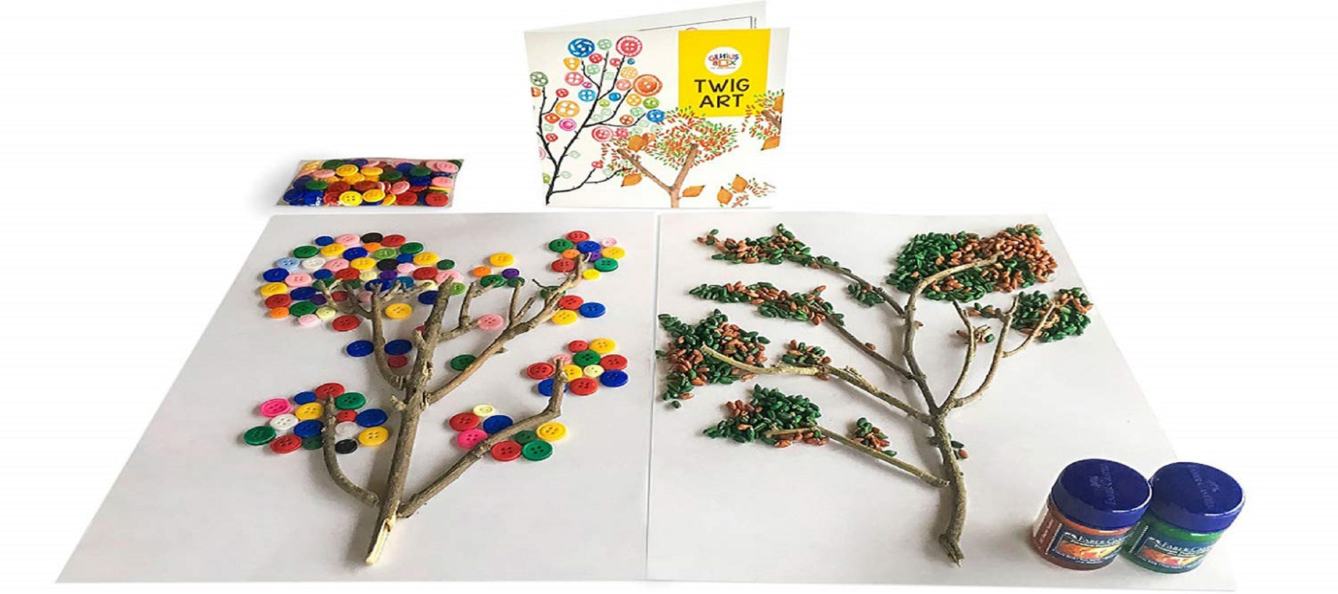 Genius Box Learning STEM Toy for 5+ Year Age: Garden Adventure DIY,Activity Kit, Learning Kit, Educational Kit 30 Activity Kit - Gifts4All