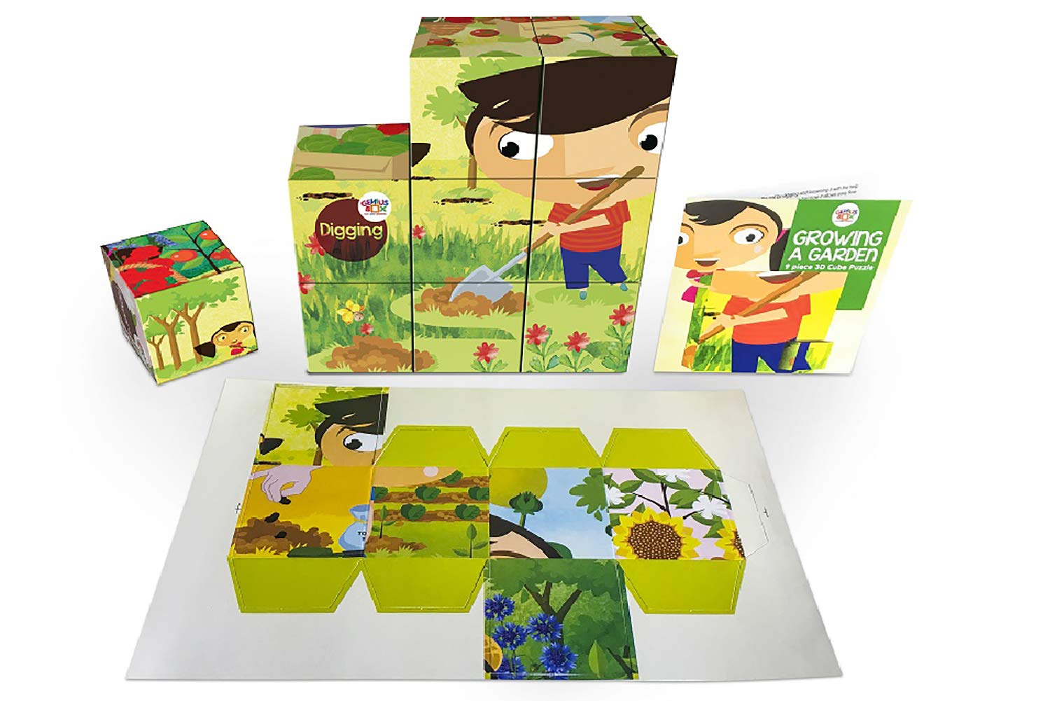 Genius Box Learning STEM Toy for 5+ Year Age: Garden Adventure DIY,Activity Kit, Learning Kit, Educational Kit 30 Activity Kit - Gifts4All