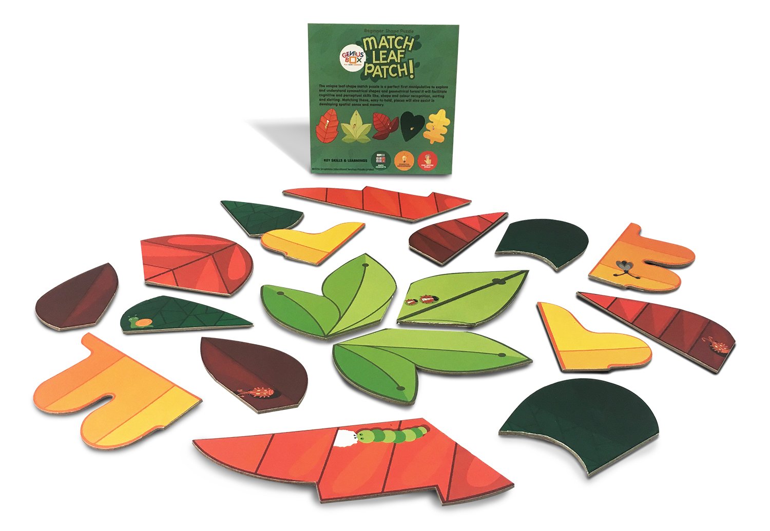 Genius Box - Play Some Learning Activity Kit For 3+ Year Age: Nature Explorer Diy, Educational Toy, Learning Kit, Educational Kit, Stem Toy - Gifts4All